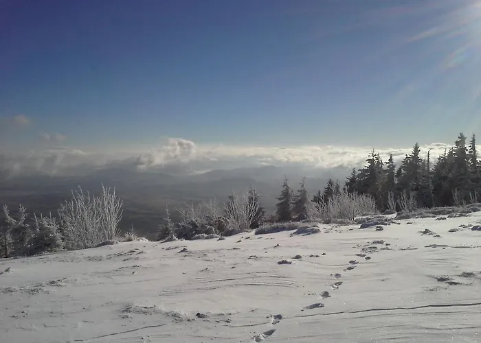 Tylko Dla Ciebie Σπίτι διακοπών *