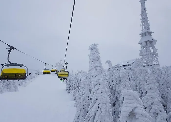 Holiday home Tylko Dla Ciebie Szczyrk